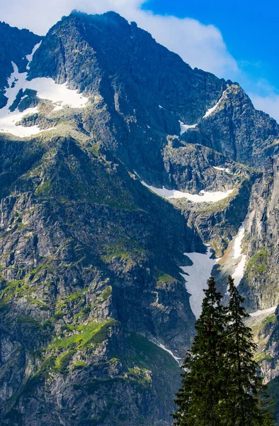 Vertikální Záběr Pohoří Tatra Pozadí Modré Oblohy — Stock fotografie