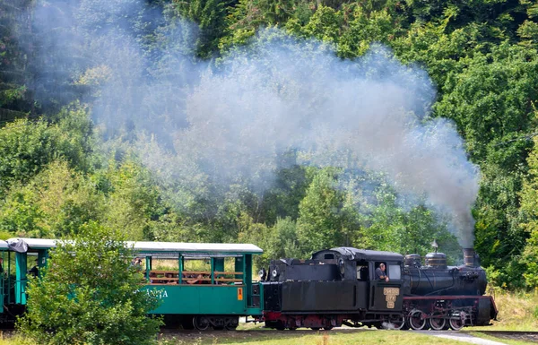 2021年8月27日 一列载有来自索瓦塔旅游胜地罗马尼的游客的狭窄的旧火车 在旅游胜地和坎普 切塔蒂村之间运送乘客 — 图库照片