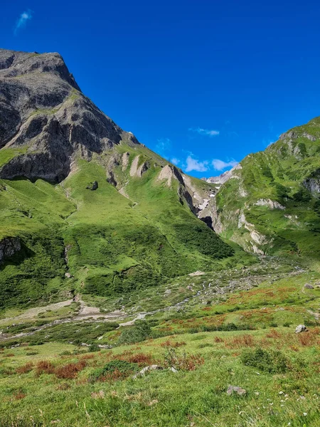 Vue Verticale Une Falaise Couverte Vert Val Formazza Italie — Photo