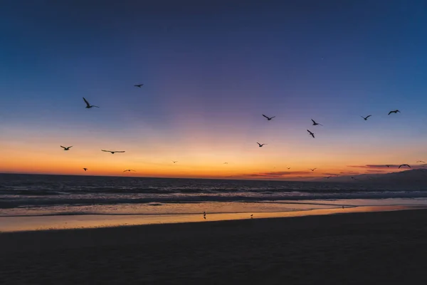 Драматический Закат Пляже Летающие Птицы — стоковое фото