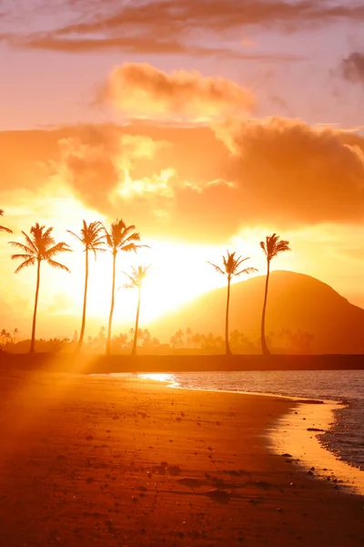 Una Hermosa Vista Una Playa Con Palmeras Altas Fondo Amanecer —  Fotos de Stock