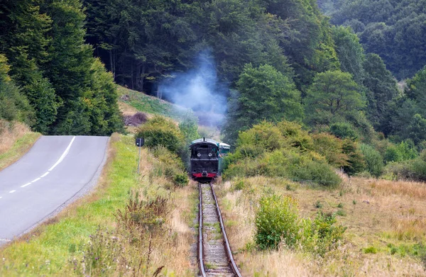 Sovata Romania 2021年8月27日 一列载有来自罗马尼亚索瓦塔旅游胜地游客的狭窄火车 在度假村和Campul Cetatii村之间运送乘客 — 图库照片