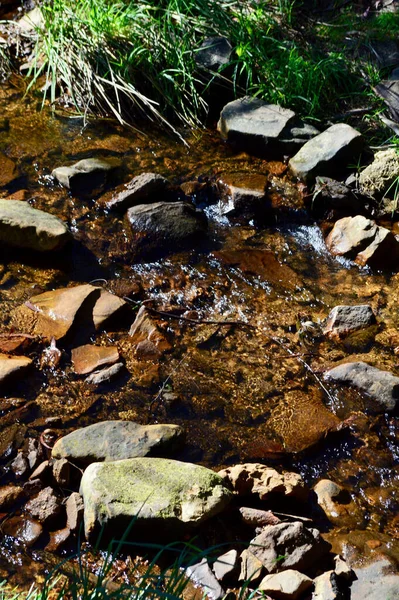 Ένα Ρέμα Κοντά Στο Katoomba Cascades Στα Μπλε Βουνά Της — Φωτογραφία Αρχείου