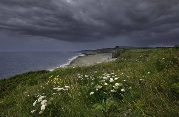 Пейзаж Скал Покрытых Зеленью Окруженный Морем Бурным Небом — стоковое фото