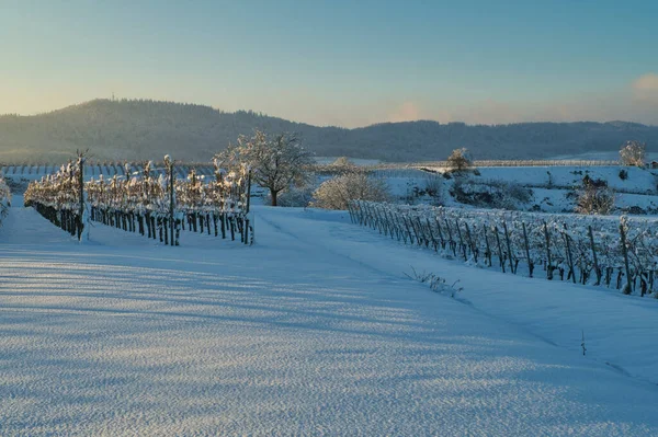 Vacker Bild Ett Fält Täckt Snö Solnedgången — Stockfoto