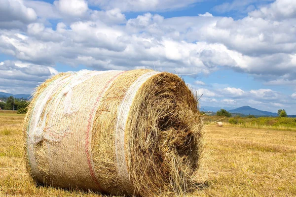 Rolo Feno Campo Com Montanhas Fundo Contra Céu Nublado — Fotografia de Stock