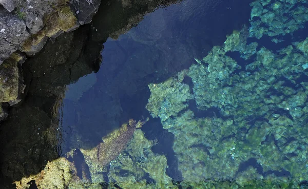 Río Con Aguas Cristalinas Formaciones Rocosas Parque Nacional Thingvellir Islandia — Foto de Stock
