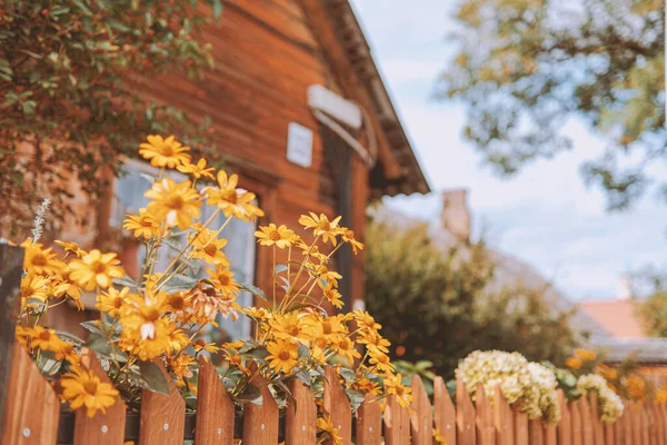 Мирный Вид Красивые Цветы Деревянного Забора Традиционного Сельского Дома — стоковое фото