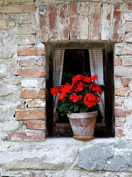 Detail Cihlových Budov Červenými Květy Květináči Parapetu — Stock fotografie