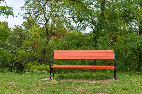 Brown Wooden Bench Green Park — Stock Photo, Image