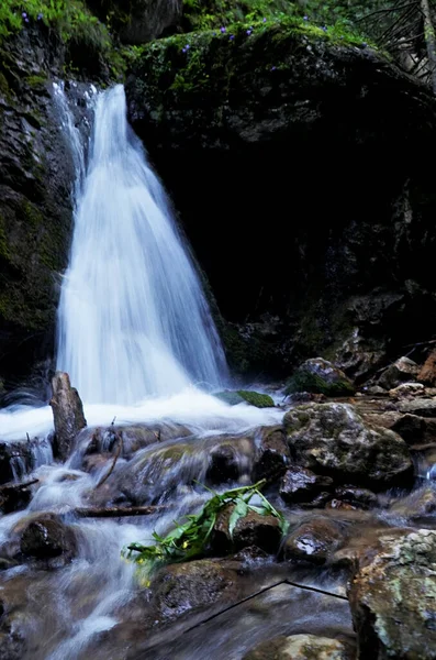 Ein Natürlicher Blick Auf Klares Wasser Das Flussabwärts Einem Wald — Stockfoto