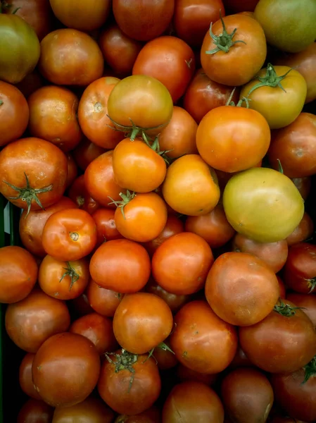 Eine Nahaufnahme Von Frischen Tomaten — Stockfoto