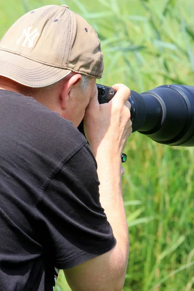 Fotógrafo Profissional Tirar Fotos Floresta Verde — Fotografia de Stock