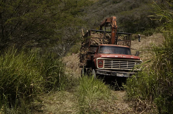Ibarra Ecuador Nov 2020 Ein Lkw Voller Holzstäbe Wald Ibarra — Stockfoto