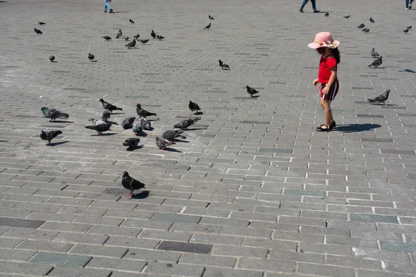 阳光明媚的日子 一个戴着帽子的小女孩站在大街上的鸽子中间 — 图库照片