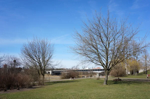 Een Prachtig Landschap Van Stadspark Met Kale Bomen Een Brug — Stockfoto