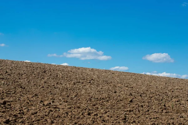 青い空に対する耕作場 — ストック写真
