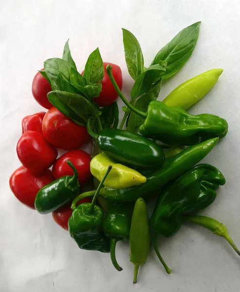 Φρέσκες Πράσινες Πιπεριές Και Ντομάτες Λευκό Φόντο — Φωτογραφία Αρχείου