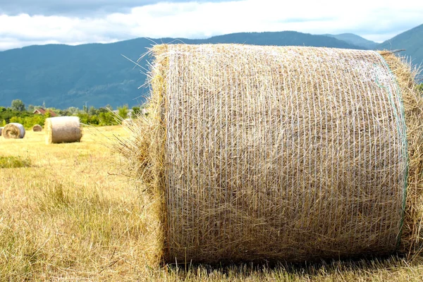 Hay Roll Field Mountains Background Cloudy Sky — Stock Photo, Image