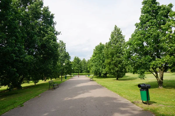 晴れた日にはオークとカエデが美しい緑の公園の道 — ストック写真