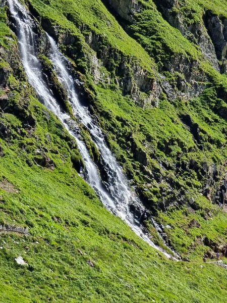 Vertikal Bild Klippa Täckt Grönt Med Vatten Som Rinner Från — Stockfoto