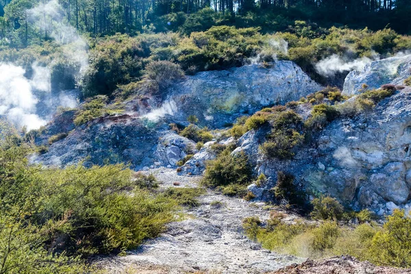 Varmkokande Ler Och Svavelkällor Grund Vulkanisk Aktivitet Wai Tapu Nya — Stockfoto