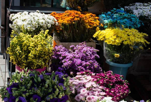 販売のために公開されている店内のさまざまなカラフルな花 — ストック写真