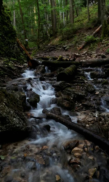 Uma Visão Natural Água Clara Que Flui Jusante Uma Floresta — Fotografia de Stock