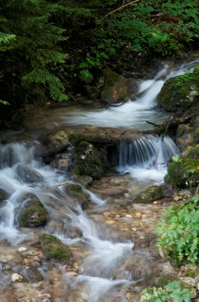 Uma Visão Natural Água Clara Que Flui Jusante Uma Floresta — Fotografia de Stock