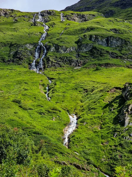 Vertikální Záběr Útesu Pokrytého Zelení Tekoucí Něj Voda Val Formazza — Stock fotografie