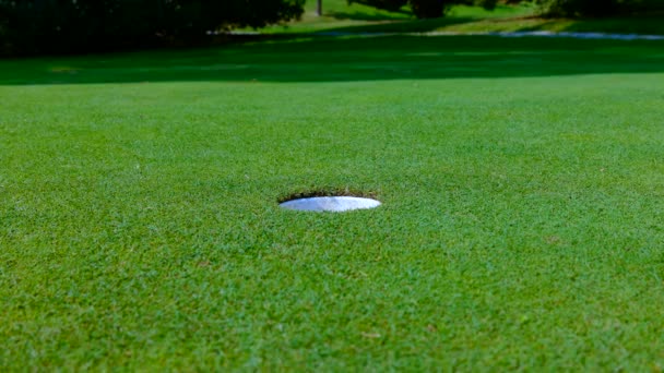 緑の芝生の上のゴルフボール — ストック動画