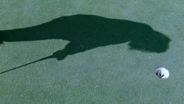 Sombra Jogador Golfe Grama Verde Parque — Vídeo de Stock