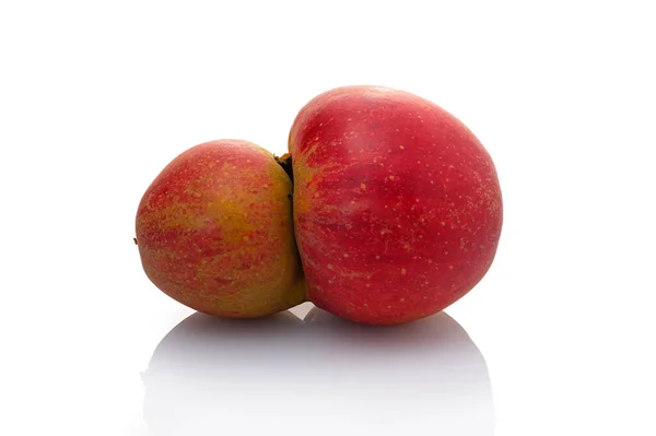 Küçük Ikiz Meyveli Olgun Bir Elmanın Beyaza Izole Edilmiş Yakın — Stok fotoğraf