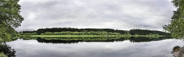 Панорамный Снимок Озера Окружении Зелени Облачным Небом Дождливый День — стоковое фото