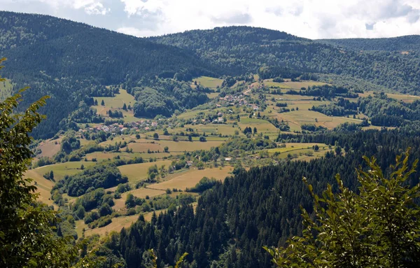 Ein Schöner Blick Auf Weite Von Dichten Dunkelgrünen Wäldern Bedeckte — Stockfoto