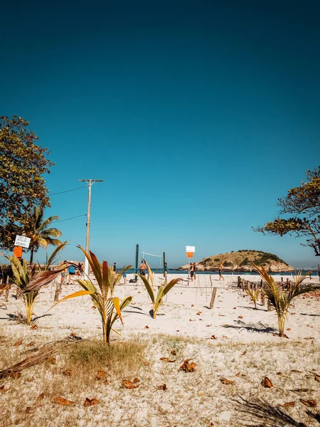 Rio Janeiro Brazil Jul 2021 Vertical Shot Beach Plants Rio — Stock Photo, Image