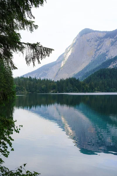 Okouzlující Pohled Klidné Jezero Obklopené Stromy Odrazem — Stock fotografie