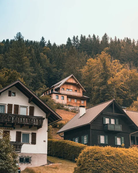 Lunzer See Áustria Ago 2021 Uma Vista Fascinante Casas Residenciais — Fotografia de Stock