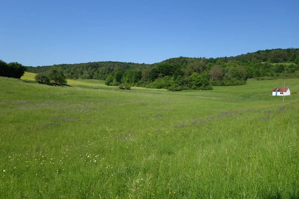 遠くに一軒の田舎家がある渓谷の美しい畑の静かな風景 — ストック写真