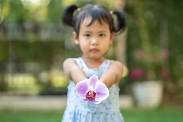 Shallow Focus Cute Thai Girl Holding Purple Orchid Flower — Stock Photo, Image