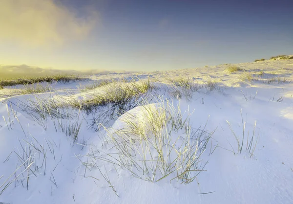 Paisaje Campo Cubierto Nieve Bajo Luz Del Sol Por Mañana — Foto de Stock