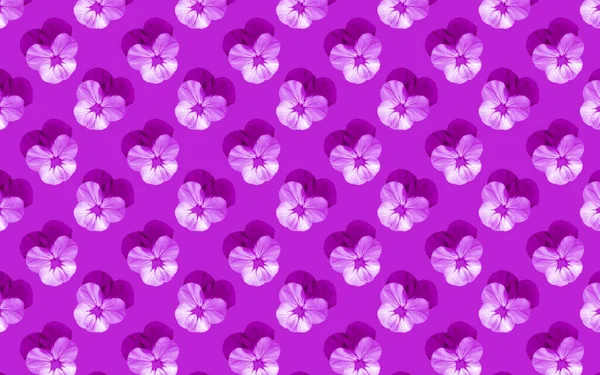 Иллюстрация Цветочного Бесшовного Рисунка Пансионов Фиолетовом Фоне — стоковое фото