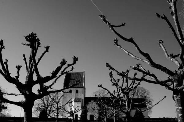 昼間に裸の木に囲まれた古い礼拝堂の灰色のショット — ストック写真