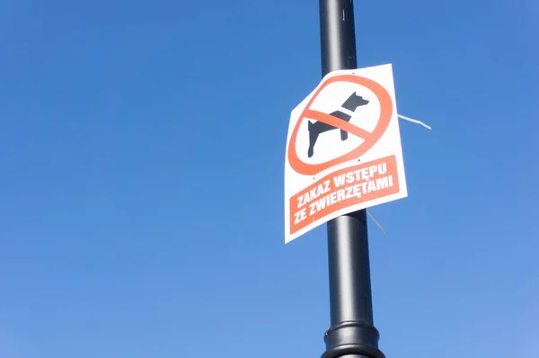 Primer Plano Cartel Poste Luz Que Prohíbe Entrada Perros —  Fotos de Stock