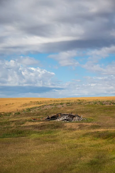 Een Verticaal Schot Van Een Oude Houten Stukken Een Gras — Stockfoto