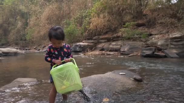 Footage Little Girl Playing River Shore — Stock videók