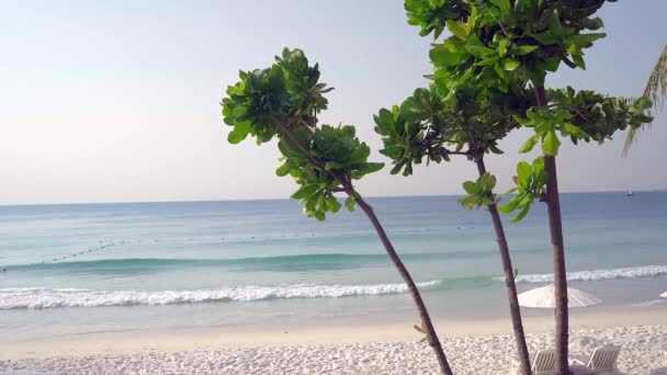 Bella Spiaggia Tropicale Con Palme Cielo Blu — Video Stock