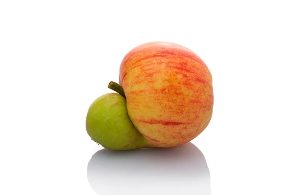 Eine Nahaufnahme Eines Reifen Apfels Mit Kleinen Zwillingsfrüchten Isoliert Auf — Stockfoto