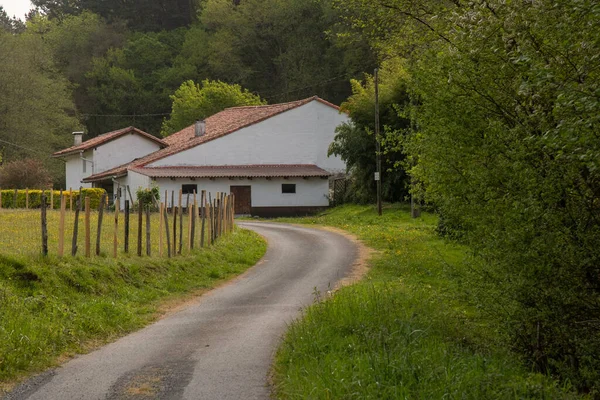 Ένας Στενός Δρόμος Περιτριγυρισμένος Από Πράσινο Που Οδηγεί Ένα Σπίτι — Φωτογραφία Αρχείου