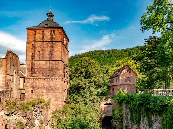 Uma Vista Fascinante Cidade Heidelberg Alemanha — Fotografia de Stock